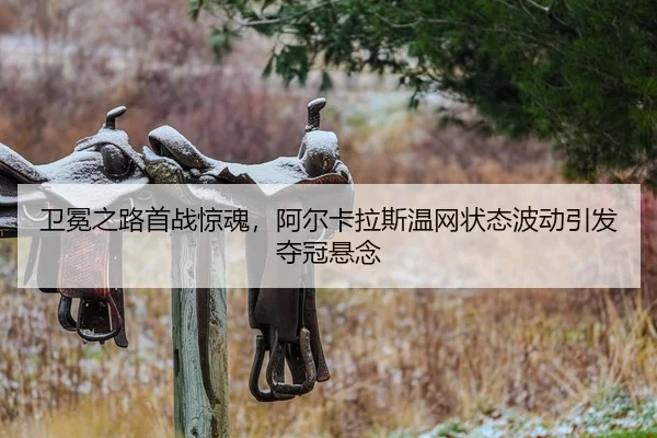 wei-mian-zhi-lu-shou-zhan-jing-hun-a-er-ka-la-si-wen-wang-zhuang-tai-bo-dong-yin-fa-duo-guan-xuan-nian-2-258.jpg