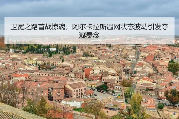 wei-mian-zhi-lu-shou-zhan-jing-hun-a-er-ka-la-si-wen-wang-zhuang-tai-bo-dong-yin-fa-duo-guan-xuan-nian-3-672.jpg