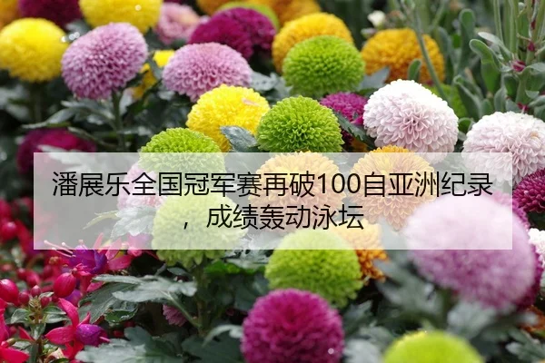 潘展乐全国冠军赛再破100自亚洲纪录，成绩轰动泳坛