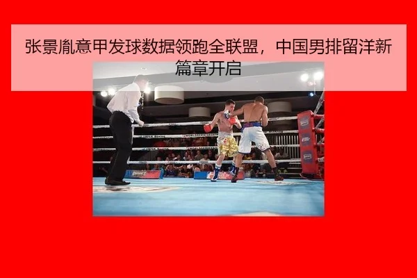 张景胤意甲发球数据领跑全联盟，中国男排留洋新篇章开启
