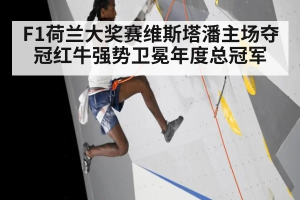 F1荷兰大奖赛维斯塔潘主场夺冠红牛强势卫冕年度总冠军
